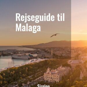 Rejseguide til Malaga - Droneland