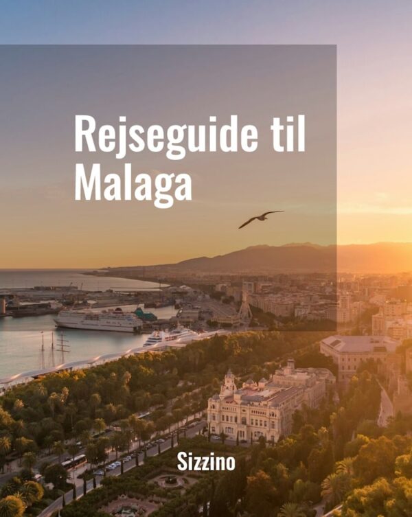 Rejseguide til Malaga - Droneland