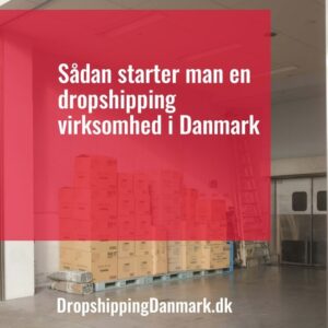 Sådan starter man en dropshipping virksomhed i Danmark - Droneland