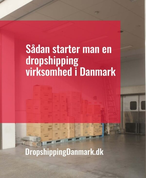 Sådan starter man en dropshipping virksomhed i Danmark - Droneland