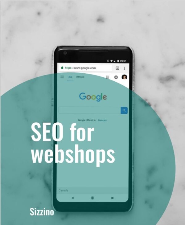 SEO for webshops - Droneland